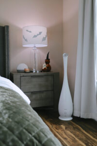 Say Goodbye to Winter Dryness: Benefits of a Humidifier